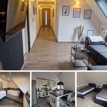 Ferienwohnung Am See Dillich - Eigener Garten - Ruhige Lage - Natur Vor Der Haustuer Borken  エクステリア 写真