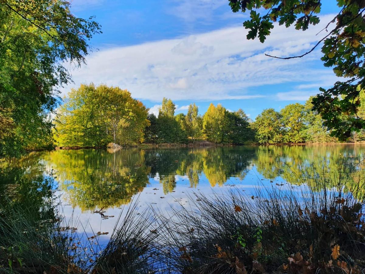 Ferienwohnung Am See Dillich - Eigener Garten - Ruhige Lage - Natur Vor Der Haustuer Borken  エクステリア 写真