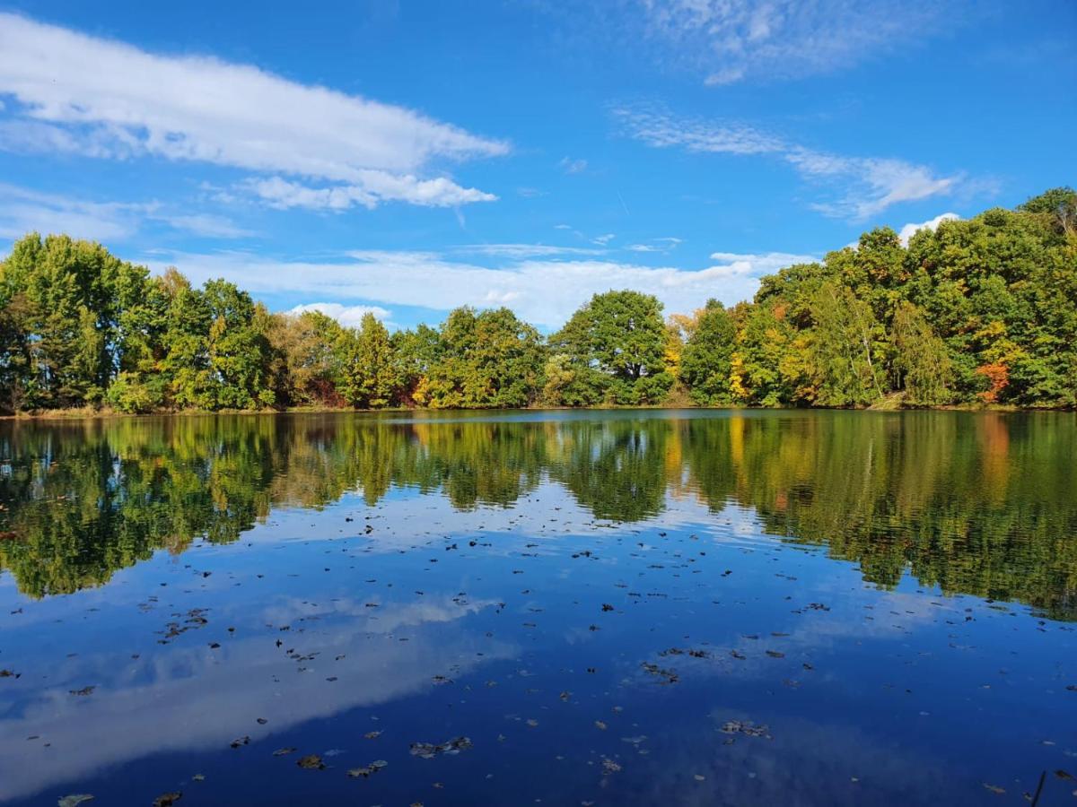 Ferienwohnung Am See Dillich - Eigener Garten - Ruhige Lage - Natur Vor Der Haustuer Borken  エクステリア 写真