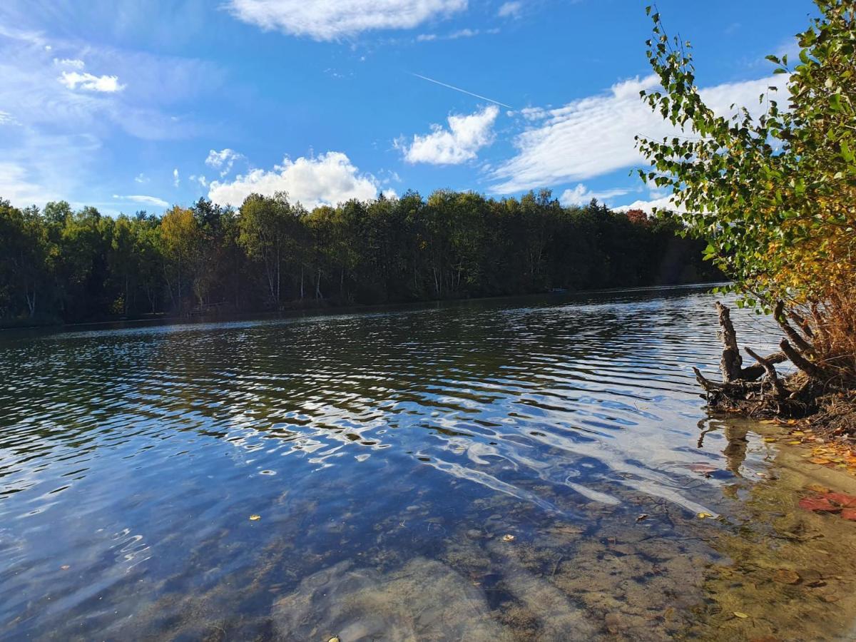 Ferienwohnung Am See Dillich - Eigener Garten - Ruhige Lage - Natur Vor Der Haustuer Borken  エクステリア 写真