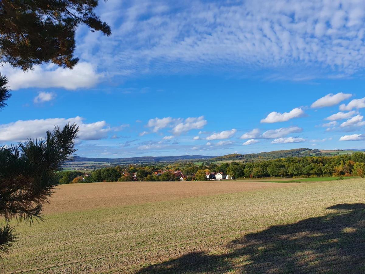Ferienwohnung Am See Dillich - Eigener Garten - Ruhige Lage - Natur Vor Der Haustuer Borken  エクステリア 写真